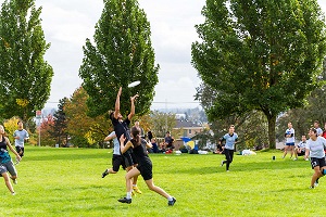 Ultimate frisbee: What to know about the non-contact sport