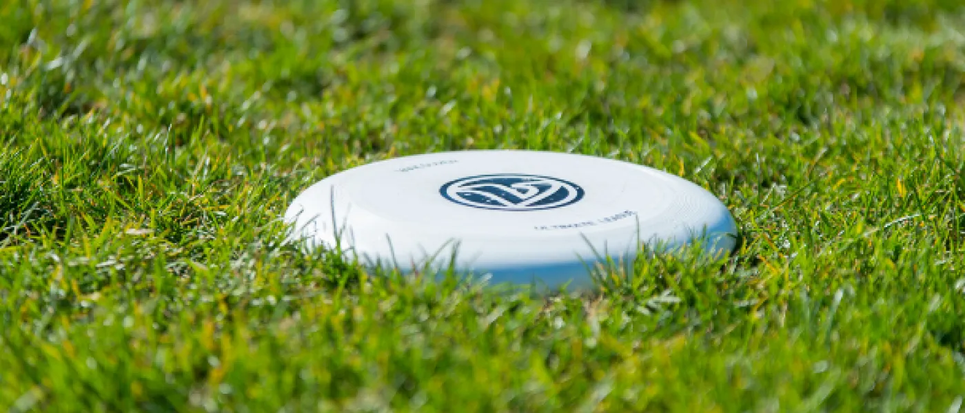 disc